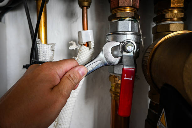 Best Plumbing Inspection Services  in Centre Hall, PA